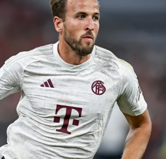 土骨架在此 土骨架在此